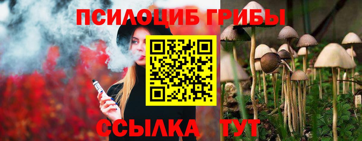 Галлюциногенные грибы Psilocybine cubensis Дятьково
