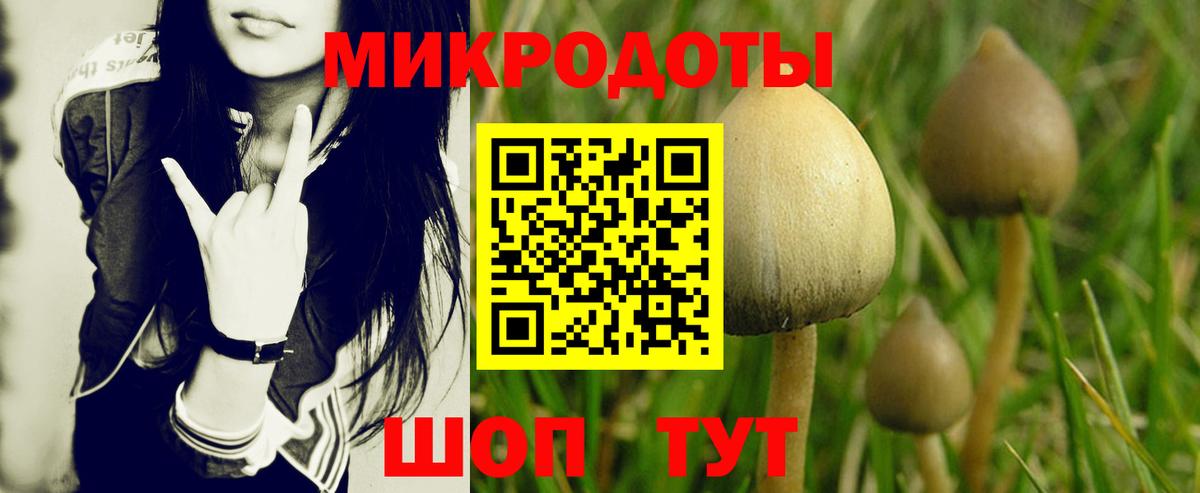Дятьково  Галлюциногенные грибы Magic Shrooms  Галлюциногенные грибы мухоморы  Вход с VPN 
